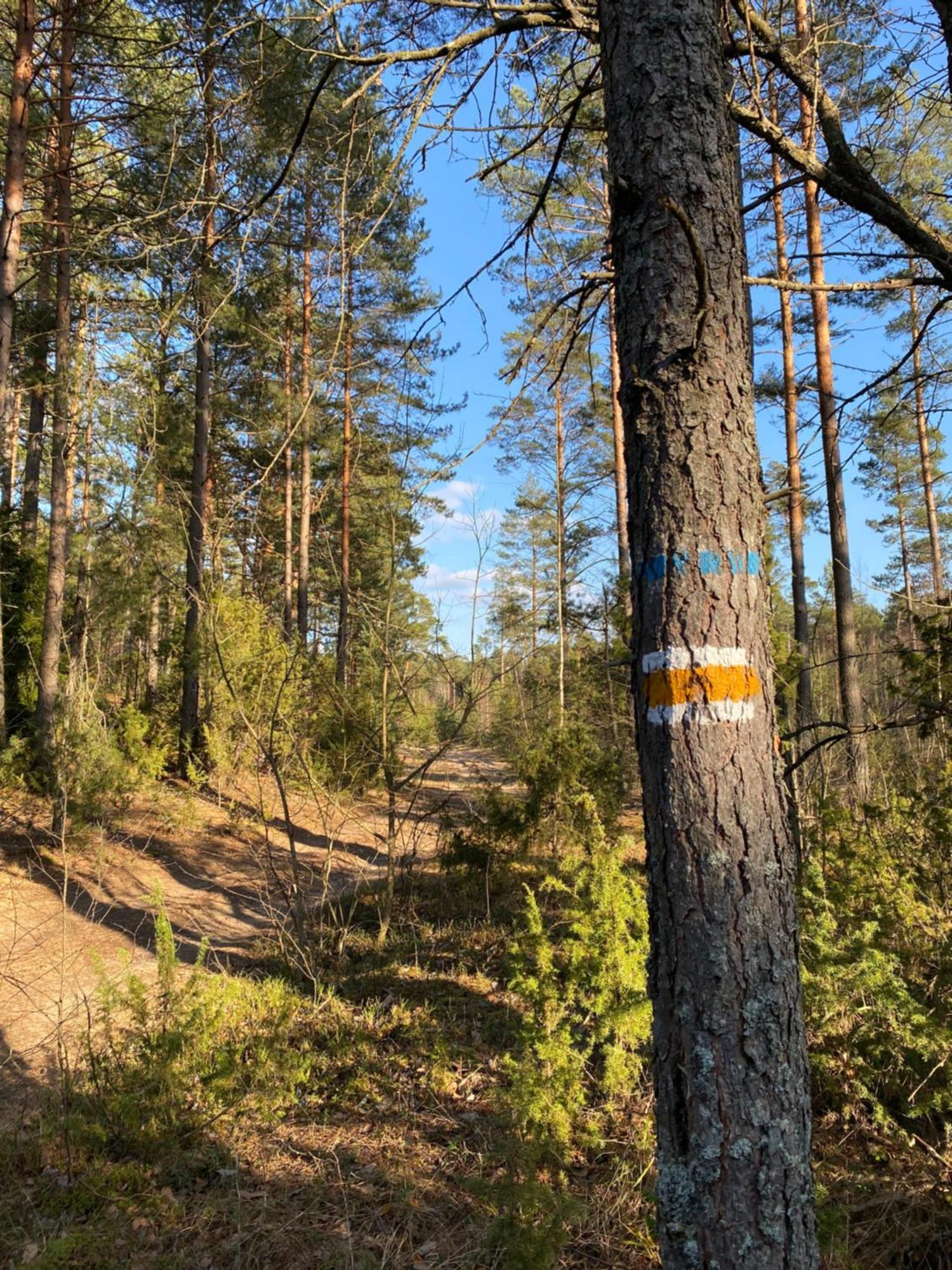 Huette Ziogeliai Kaimo namas Ziogeliai